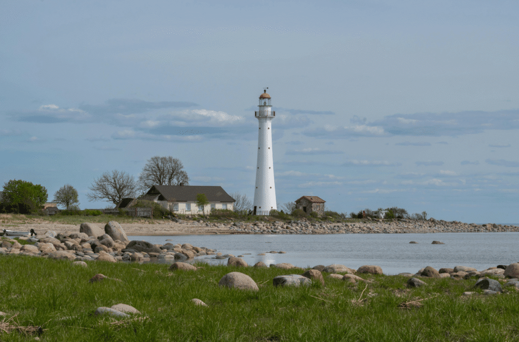 responsibilities of e-residents in Estonia